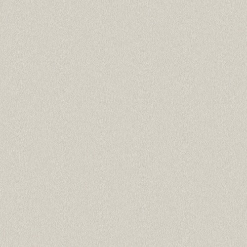 Tapet Natural Fx G67495