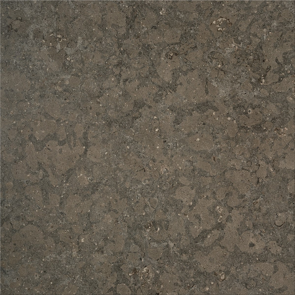 Klinker Granitkeramik Azul Olive J66 Grå, 59.8x59,8cm, Matt