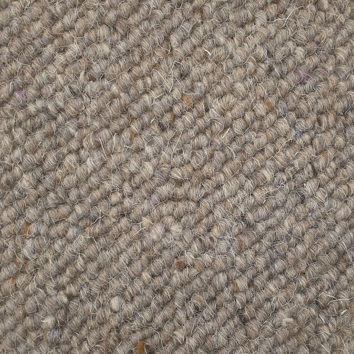 Heltäckningsmatta Canberra Wool 76 400cm, Grå