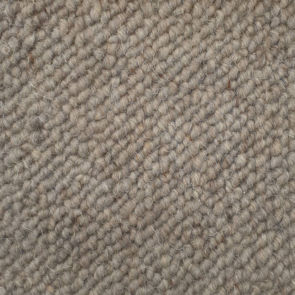 Heltäckningsmatta Canberra Wool 75 400cm, Ljusgrå