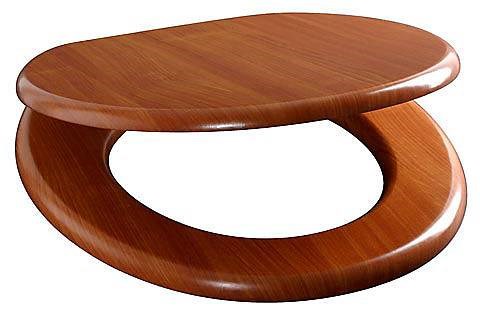 Toalettsits Miljösits