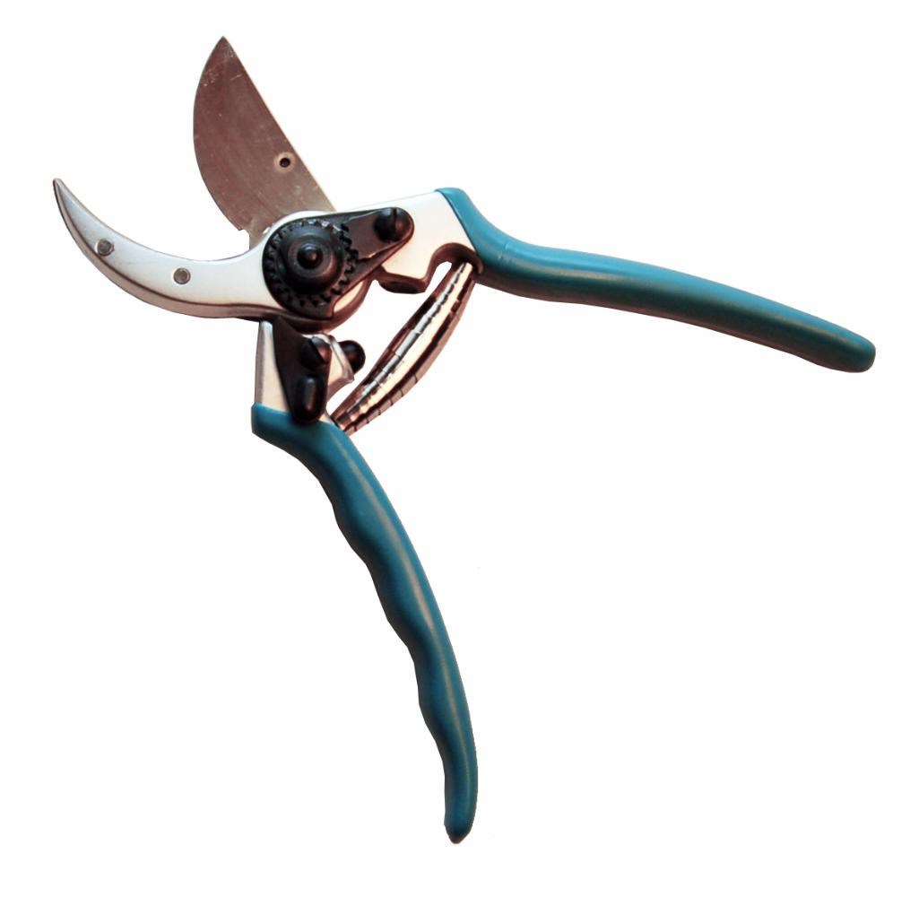 Sekatör 22 Cm - Professionell,sk5-stål Belagt Av Titan 20mm