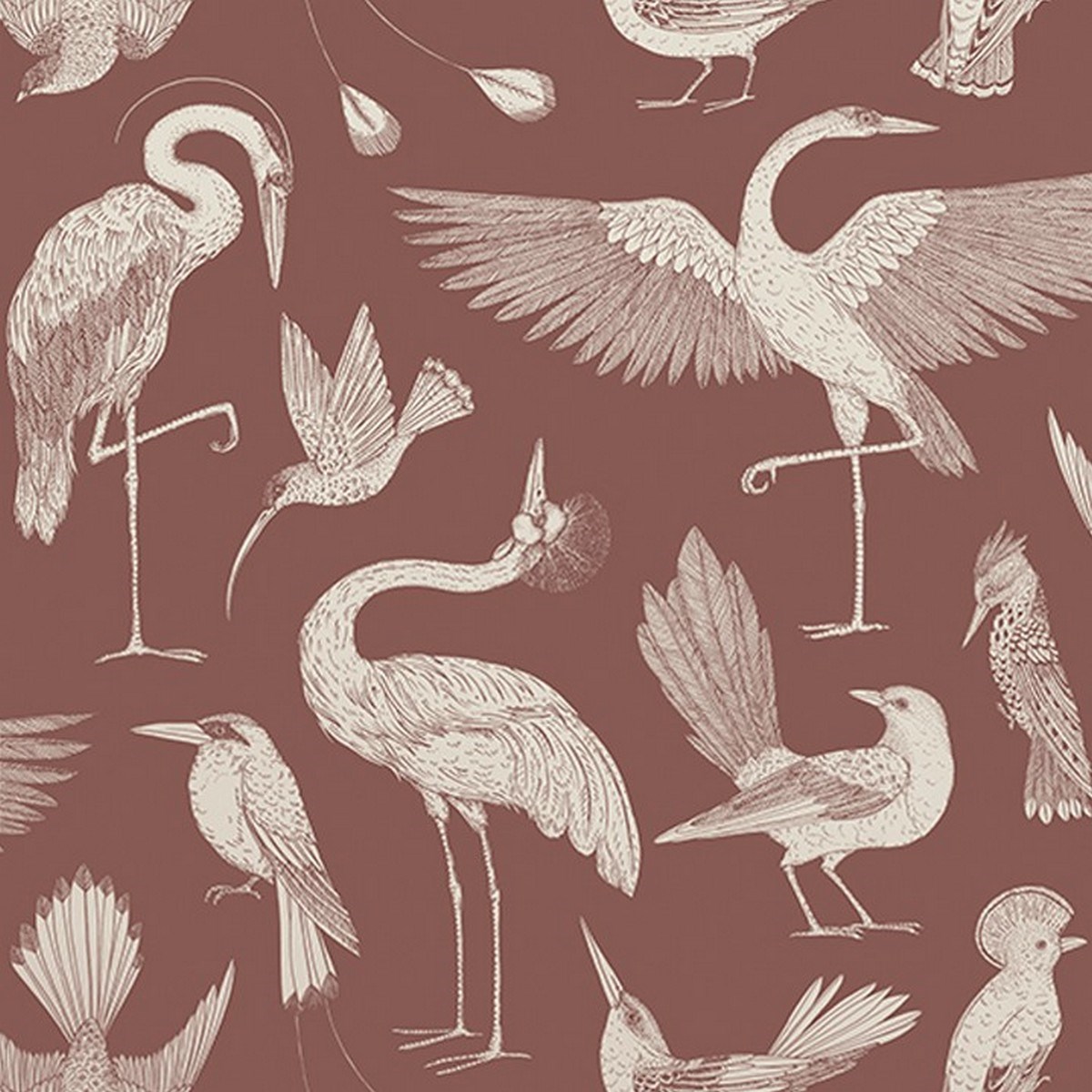 Tapet Katie Scott Birds 1101872839