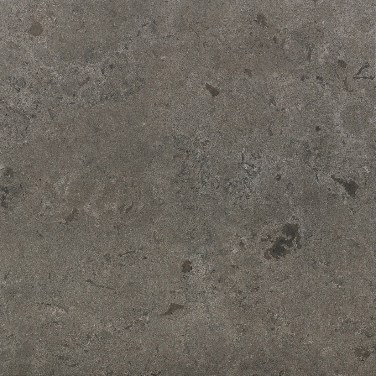 Klinker Granitkeramik Kalksten Dark Rett 60x60cm, Matt