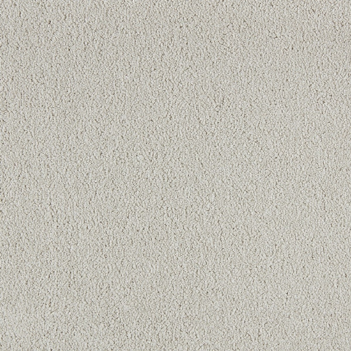 Heltäckningsmatta Soft Distinction Biscuit 242 400cm