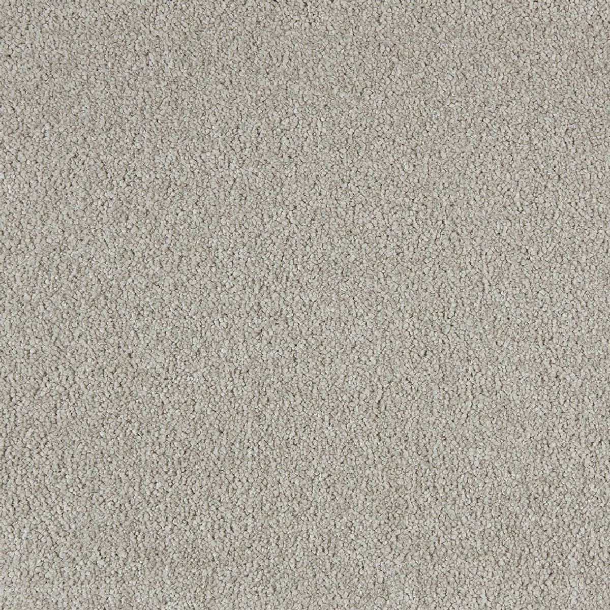 Heltäckningsmatta Soft Distinction Elmwood 432 400cm