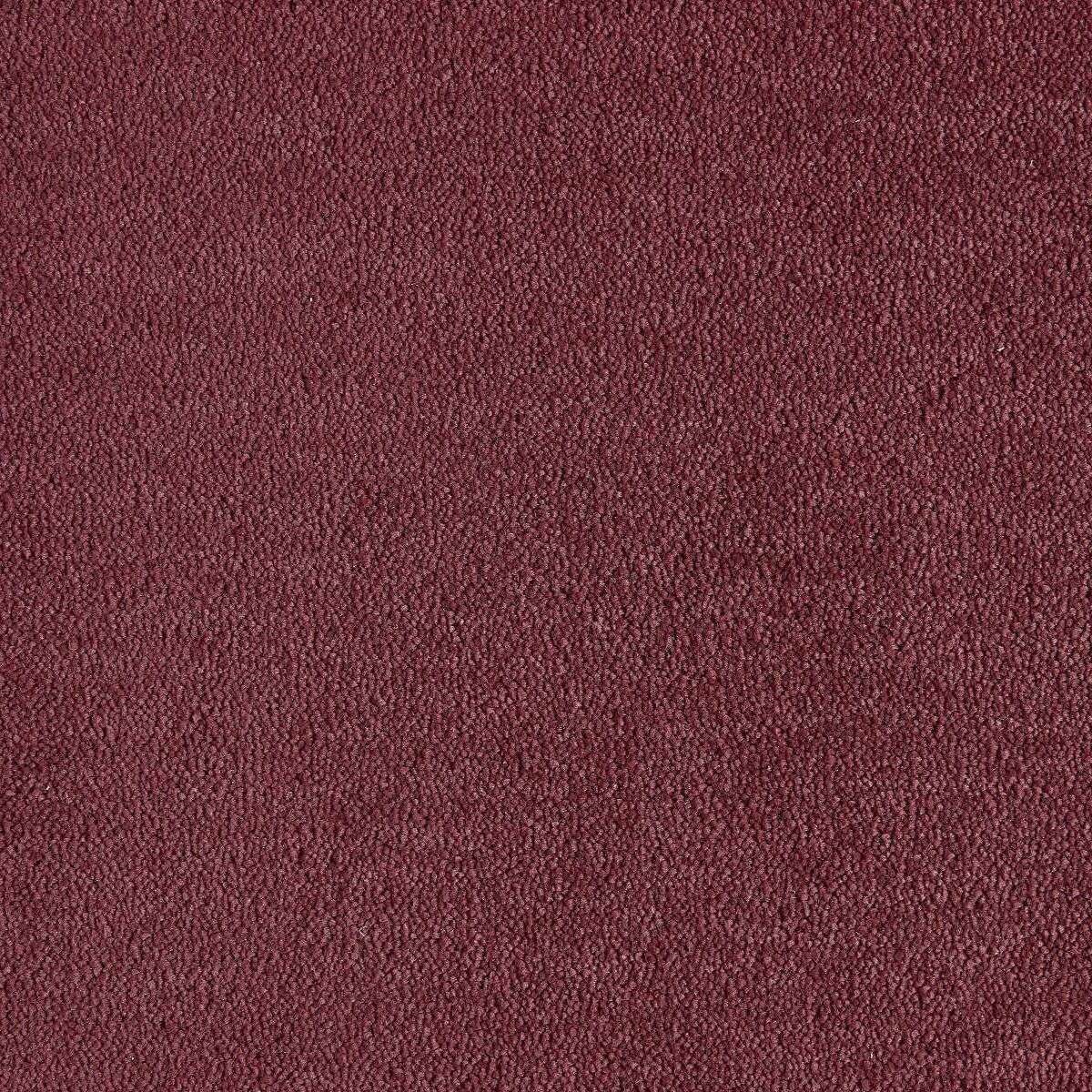 Heltäckningsmatta Dream Coral 2 122 400cm