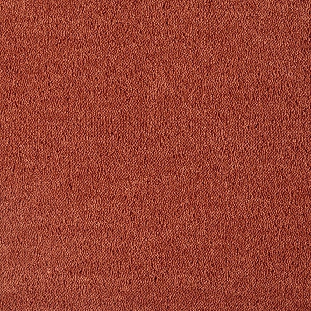 Heltäckningsmatta Dream Cognac 1 321 400cm