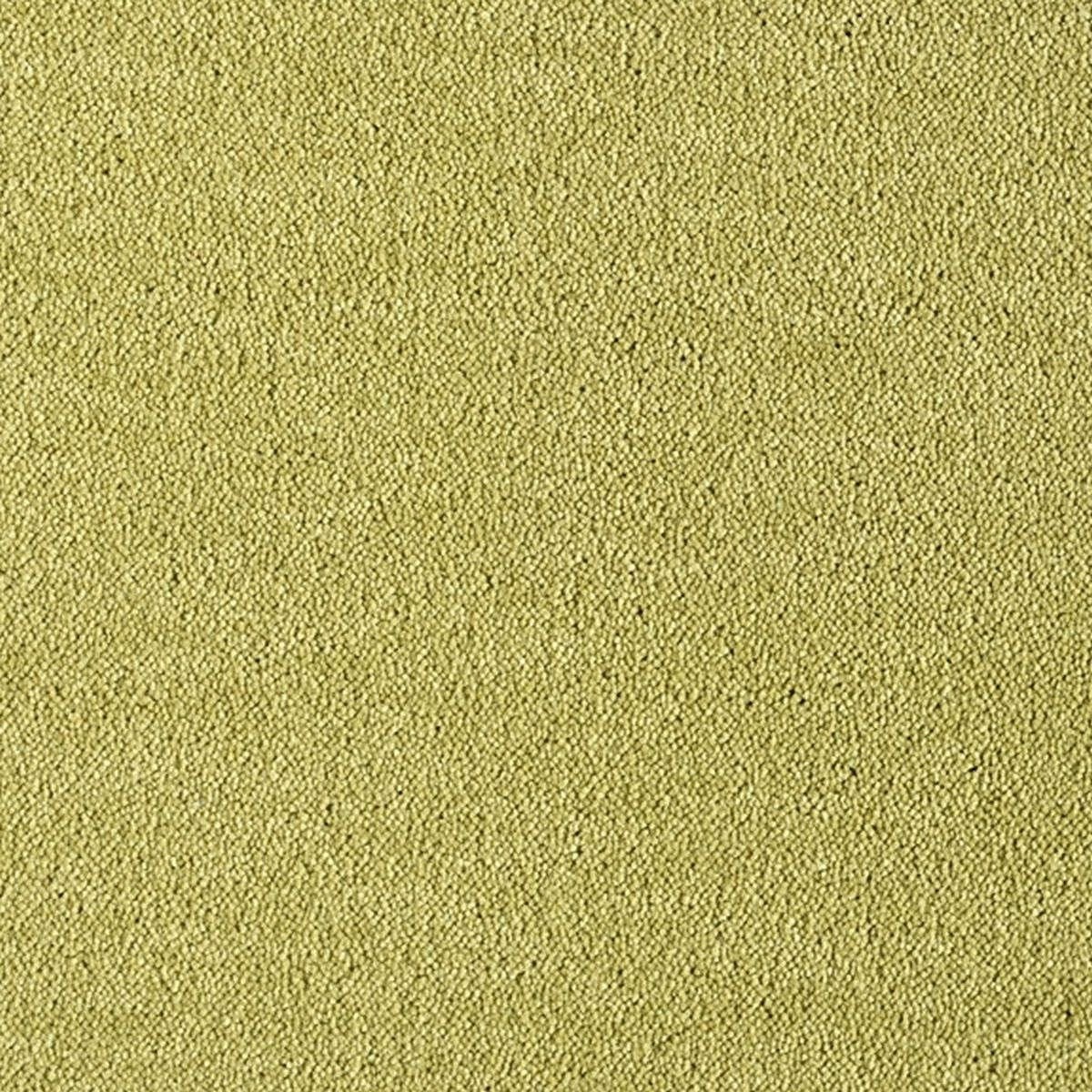 Heltäckningsmatta Dream Curry 1 541 400cm