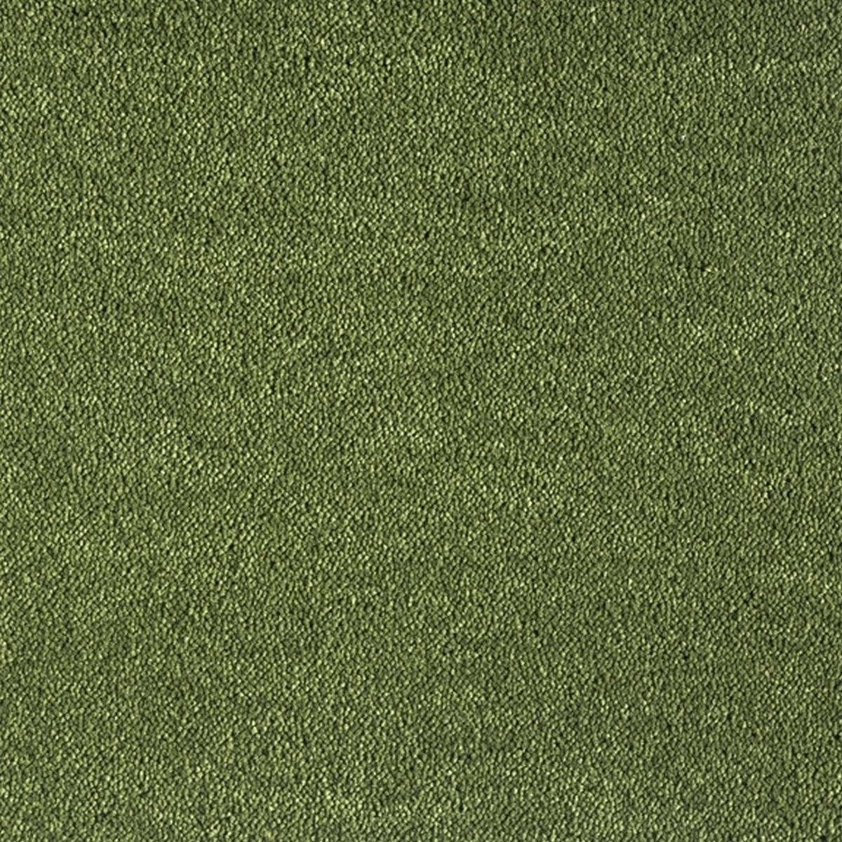 Heltäckningsmatta Dream Moss 1 591 400cm