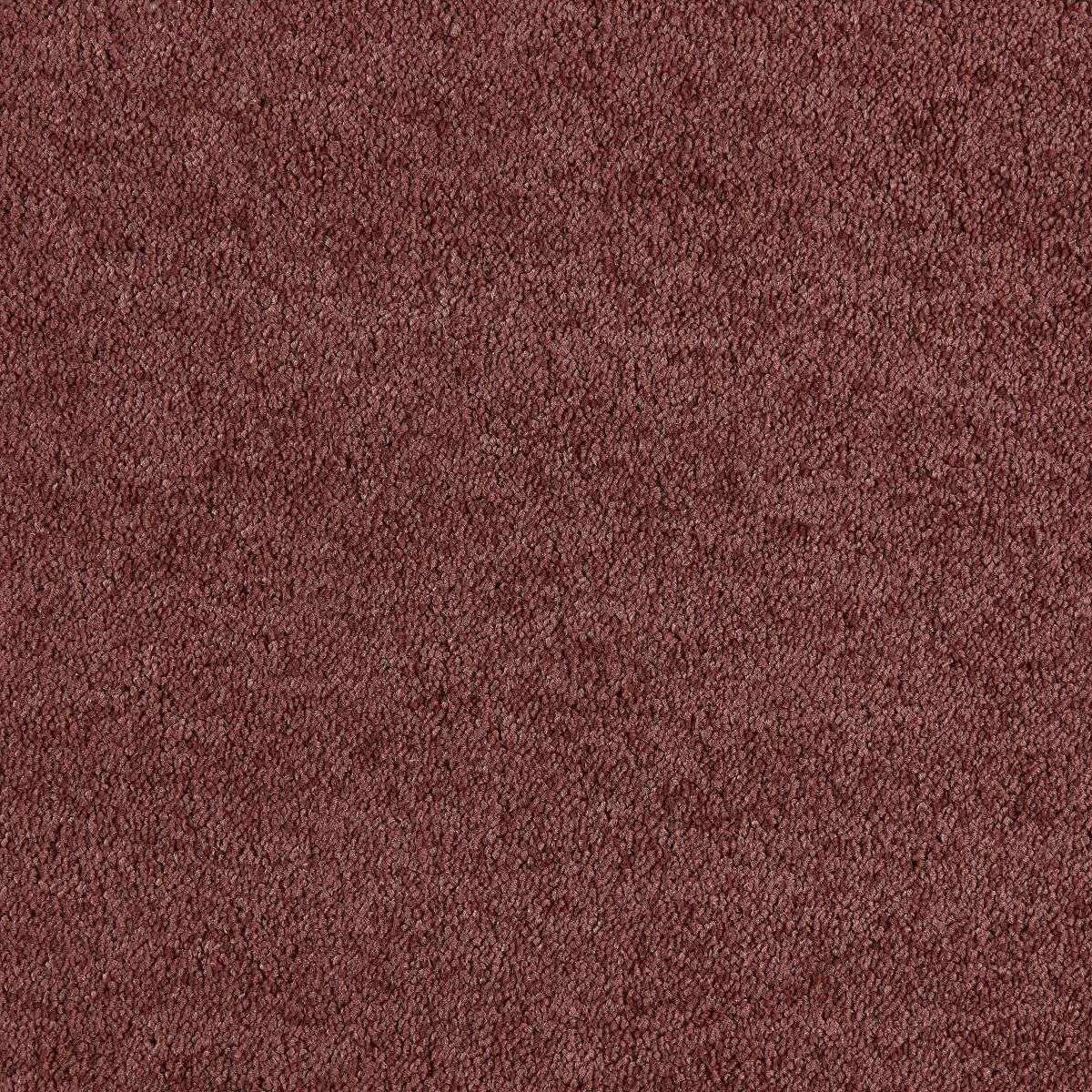 Heltäckningsmatta Lounge Rust 2 312 500cm