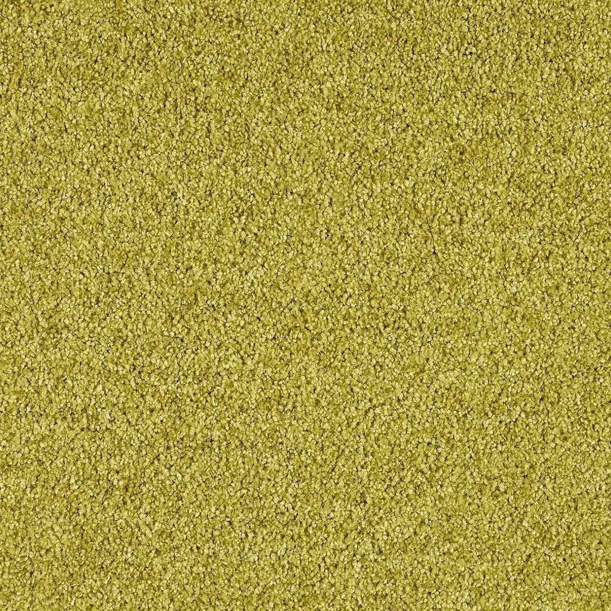 Heltäckningsmatta Euphoria Curry 540 400cm