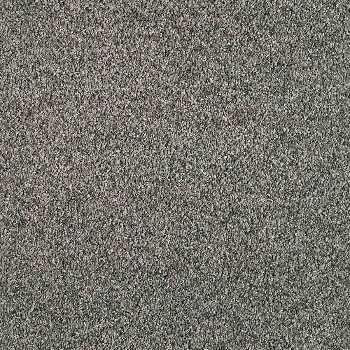 Heltäckningsmatta Euphoria Moonbeam 850 400cm