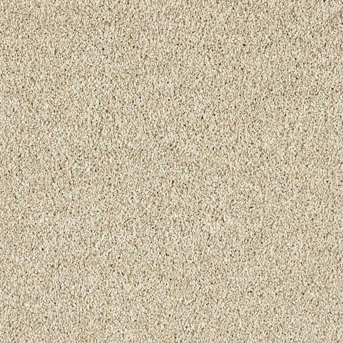 Heltäckningsmatta Euphoria Magnolia 250 500cm