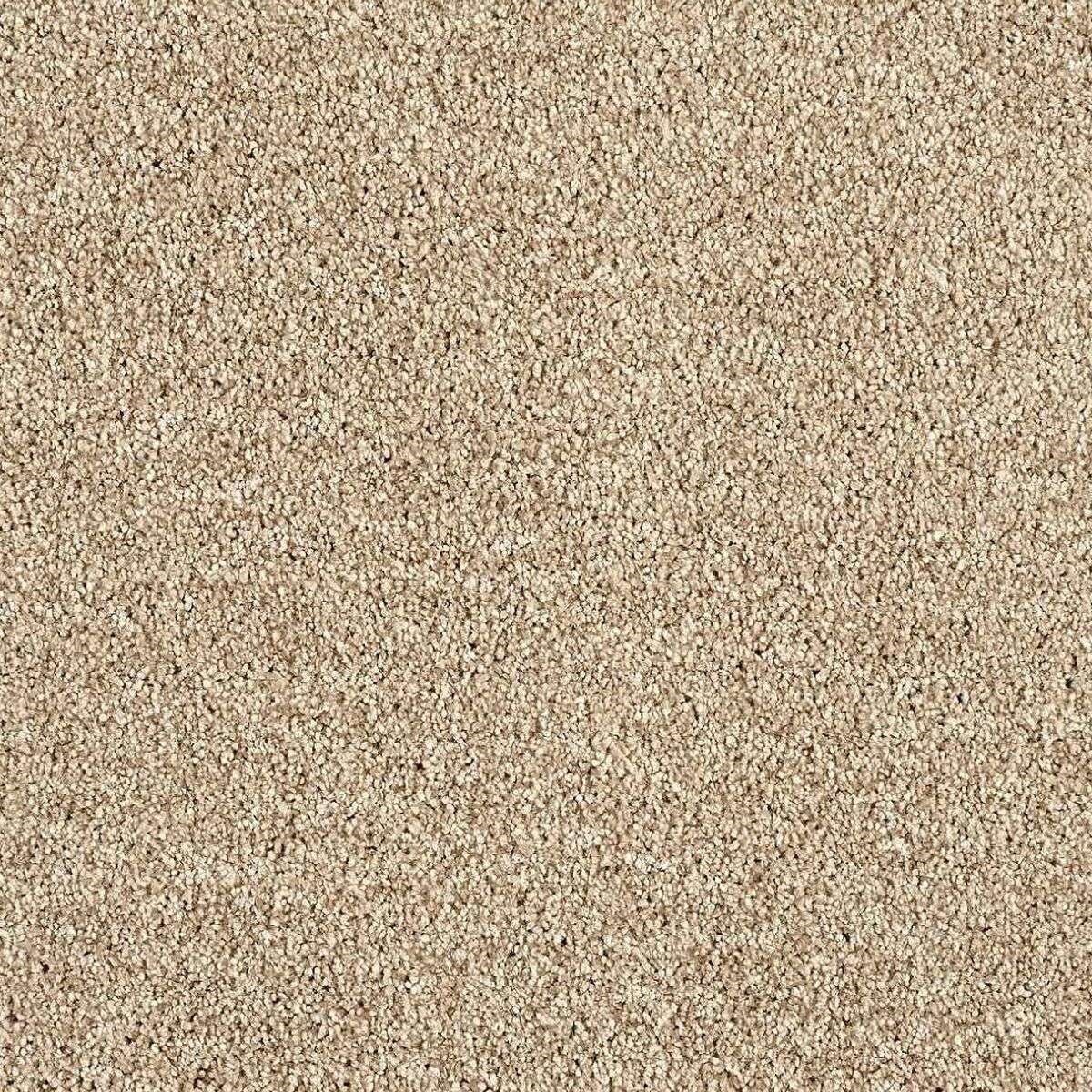 Heltäckningsmatta Euphoria Camel 260 500cm