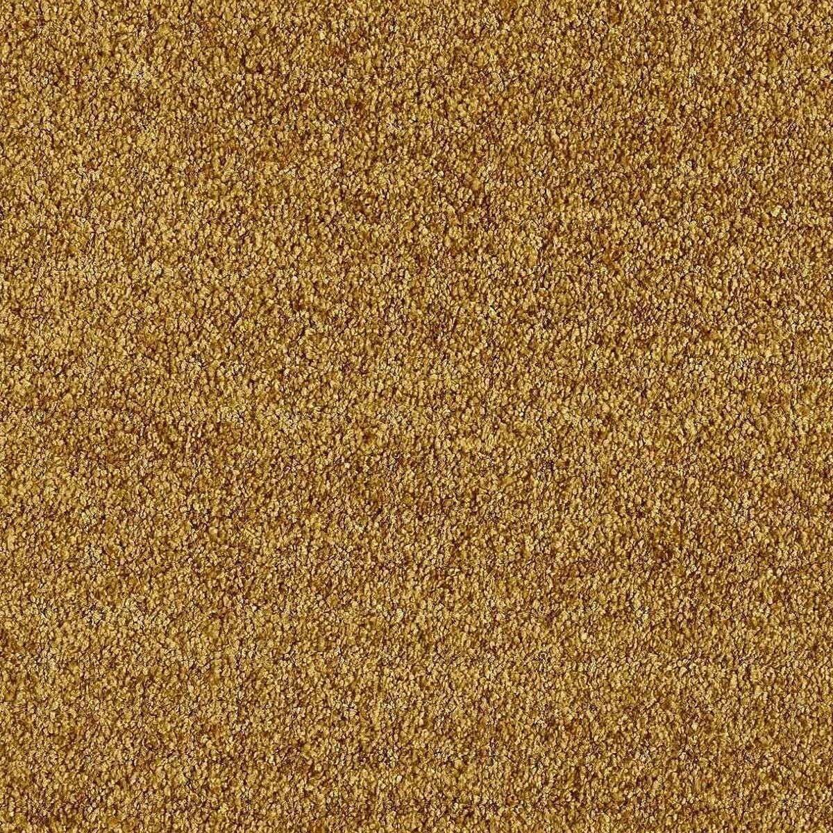 Heltäckningsmatta Euphoria Gold Leaf 370 500cm