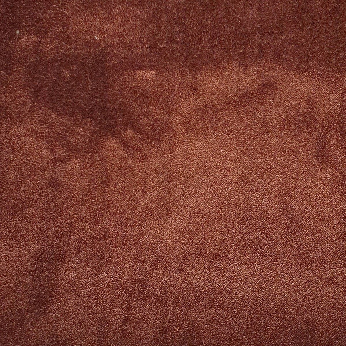 Heltäckningsmatta Illusion 12 400cm, Brun