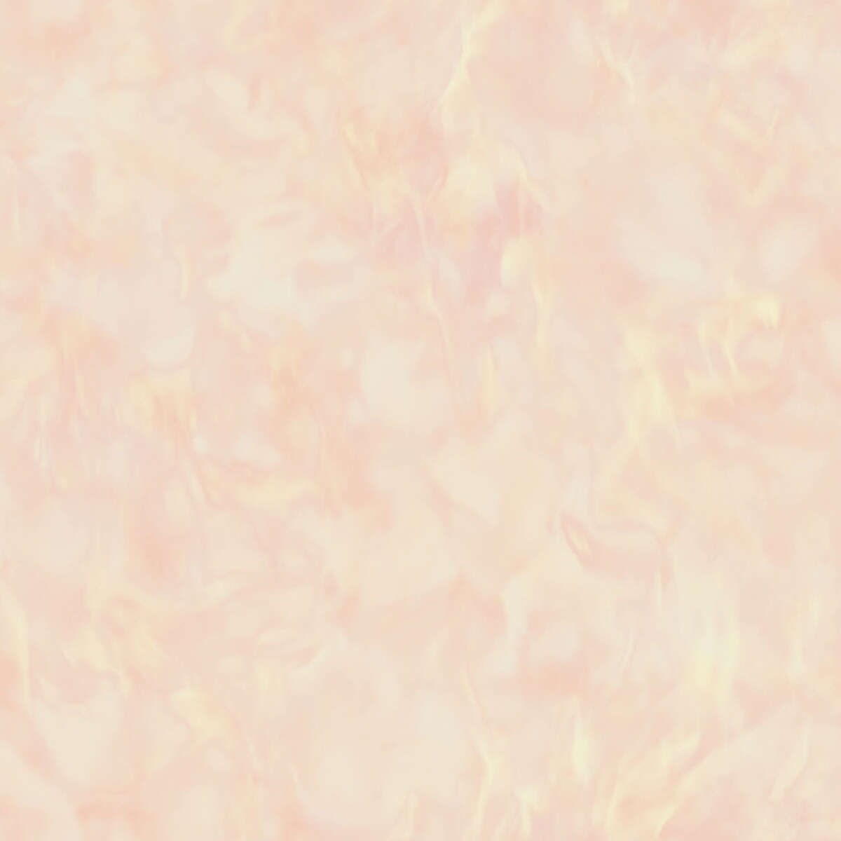 Tapet Transition Fj31901