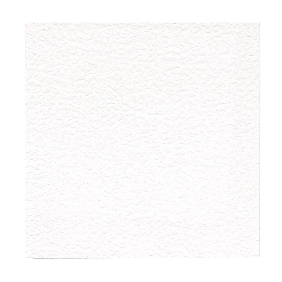 Innertak Elittak Topp Vit, 1200x600x12mm