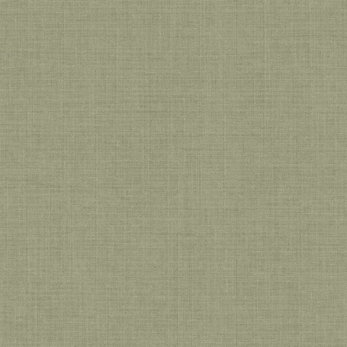 Tapet Colours Orbit Farn Orb105