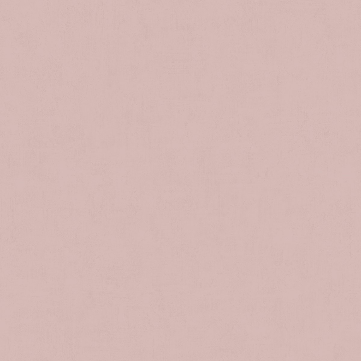 Tapet Kalk 3 Klinte 61058