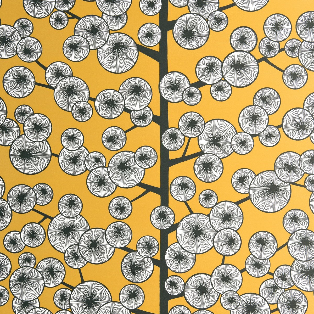 Tapet Kinfolk Cotton Tree Sunray Misp1240