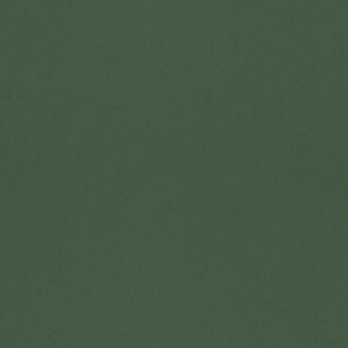 Tapet Kulör Eklöv 77001