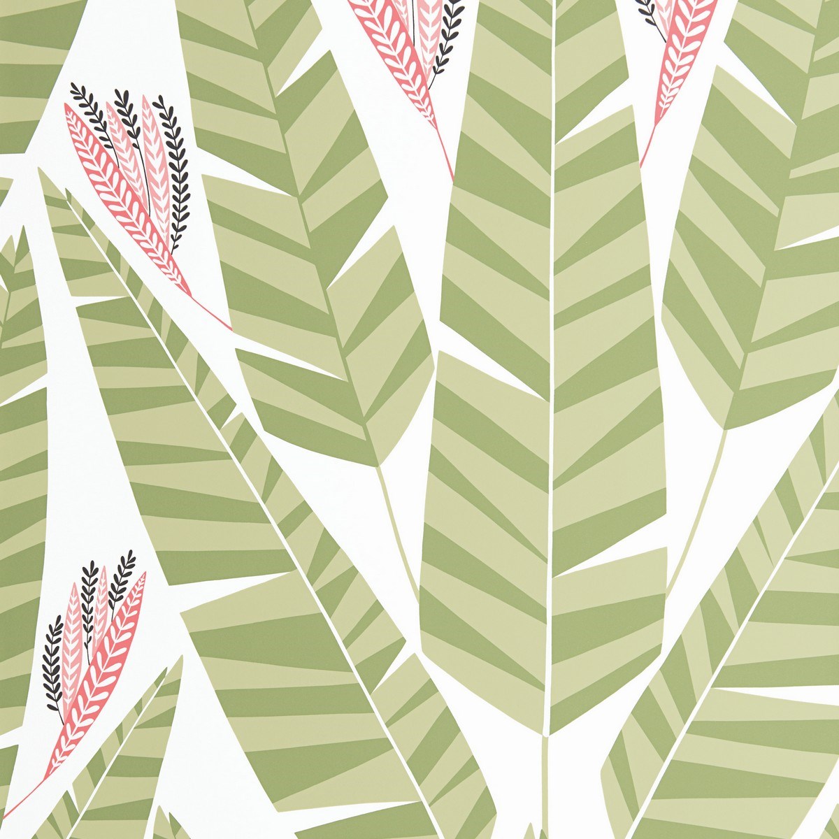 Tapet Pioneer Jungle Palm Misp1348