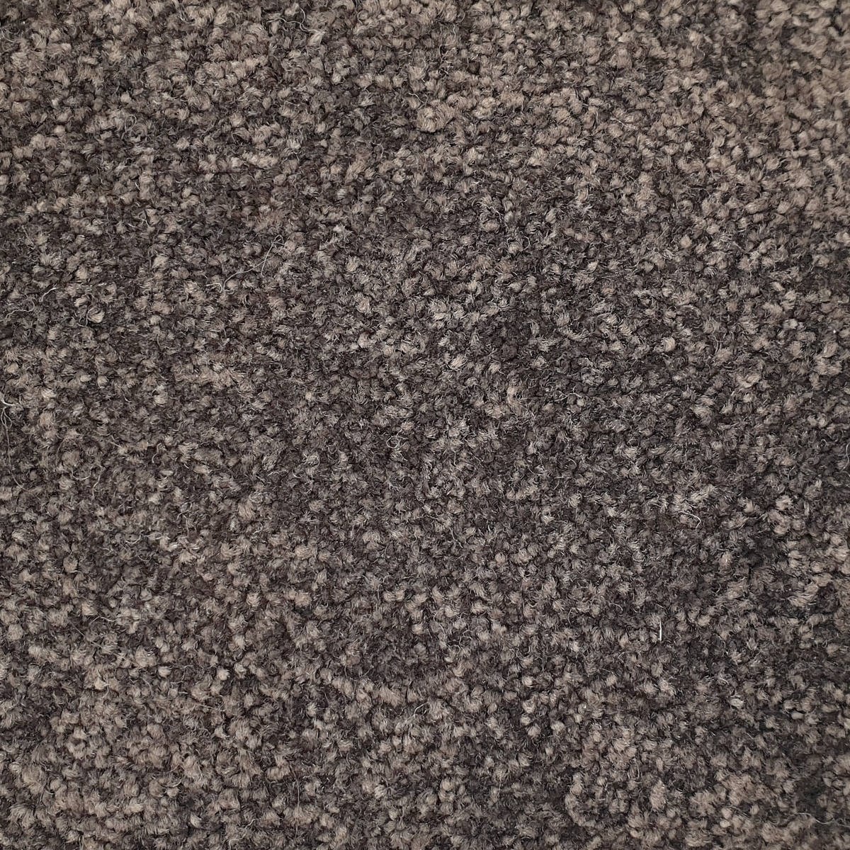 Heltäckningsmatta Majesty 611 400cm, Brun