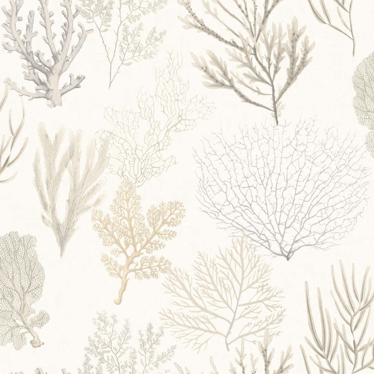 Tapet So White 4 Corail Beige Swht83971120