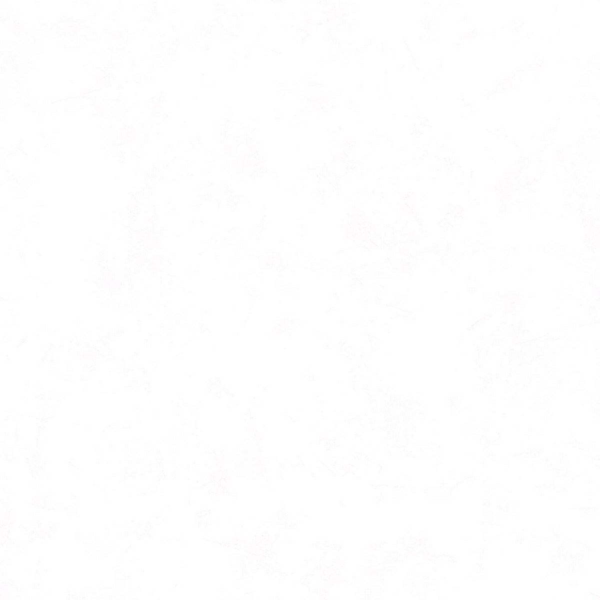 Tapet Patine 2 Uni Blanc Pae100220000