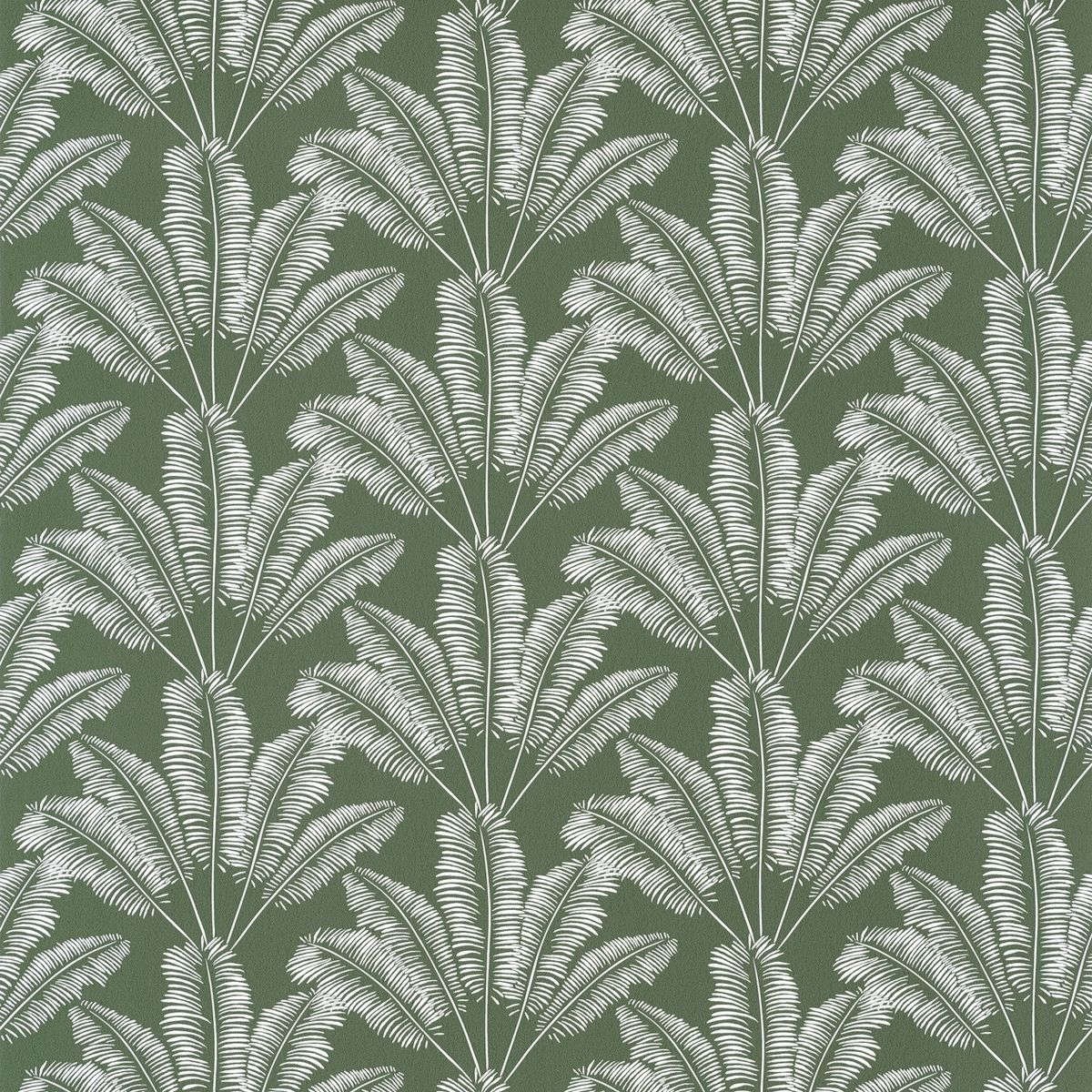 Tapet Our Planet Savannah Vert Kaki Oup101947408