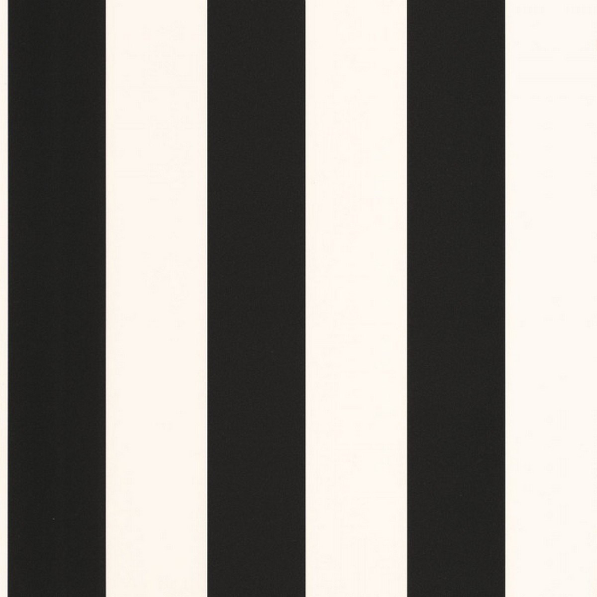 Tapet Moonlight  Day And Night Noir Blanc Mlg101189001