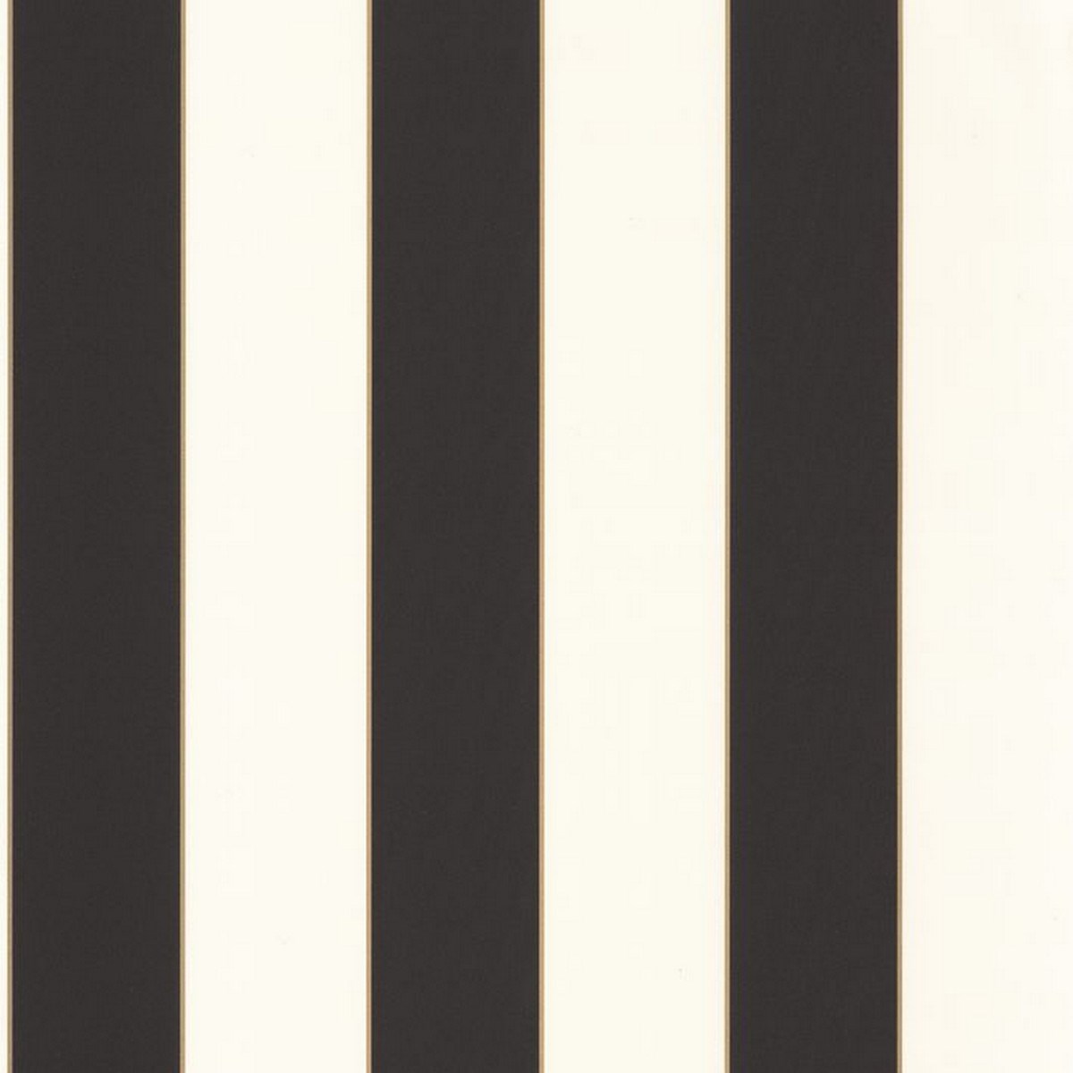 Tapet Moonlight  Golden Lines OR Noir Mlg101072092