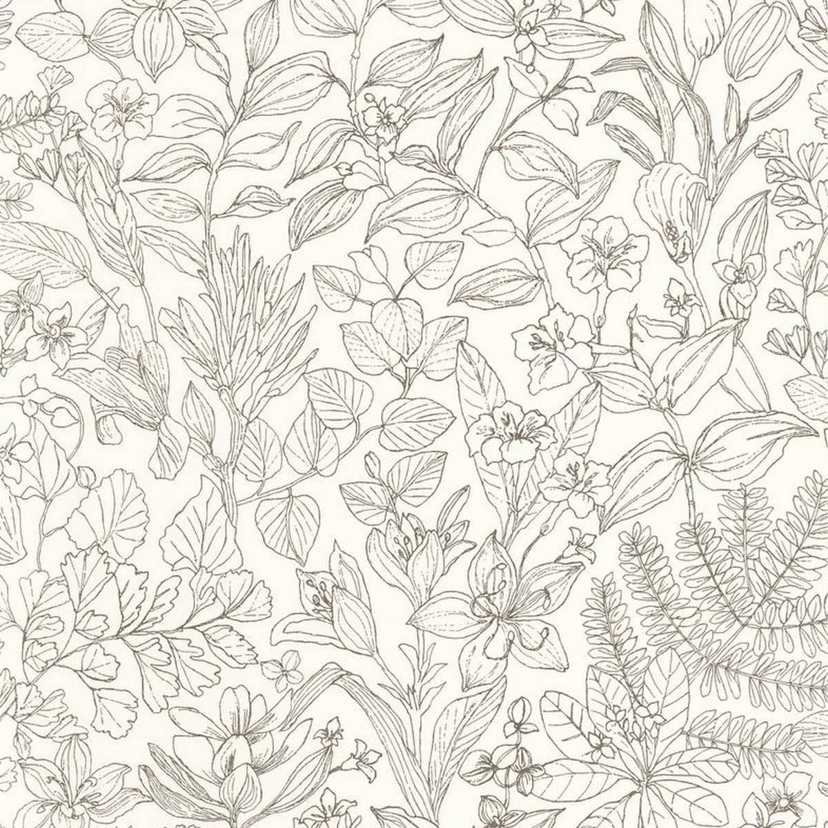 Tapet Gardens Esquisse Noir Gravure Gadn87599267