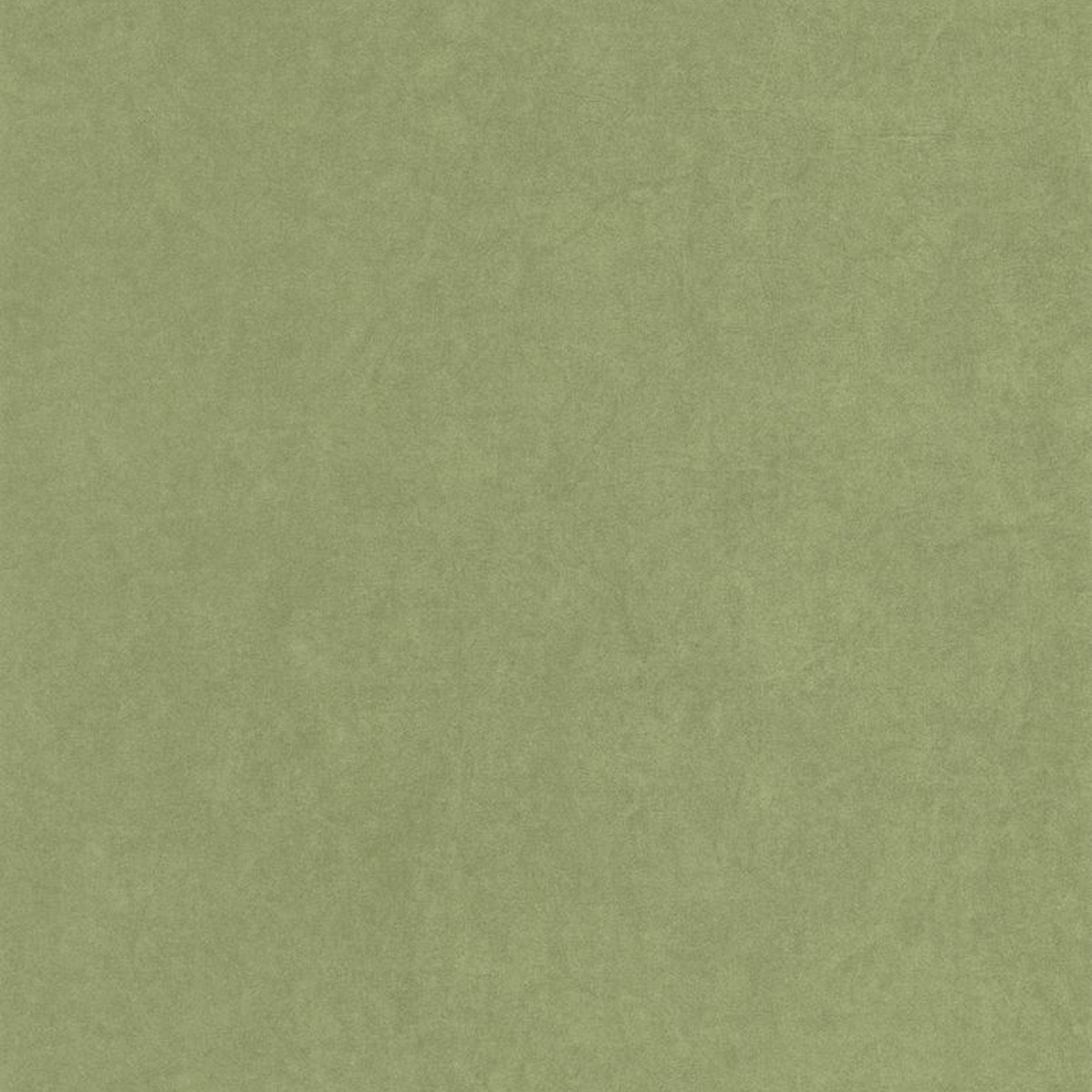 Tapet Gardens Cotton Touch Vert Cactus Gadn82387512