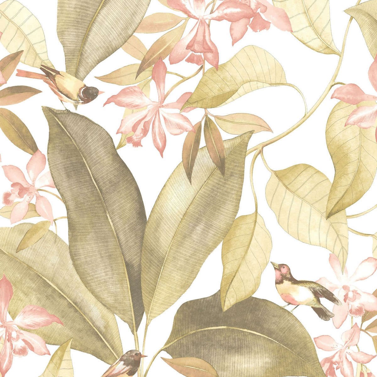 Tapet Delicacy Birdsong Vert / Rose Dely85387103