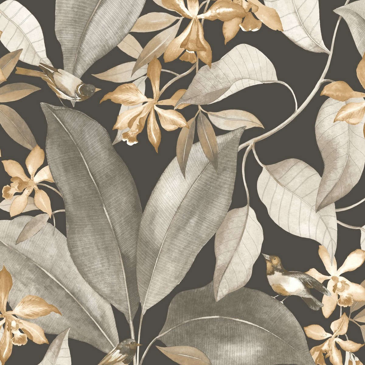 Tapet Delicacy Birdsong Noir / Taupe Dely85382414