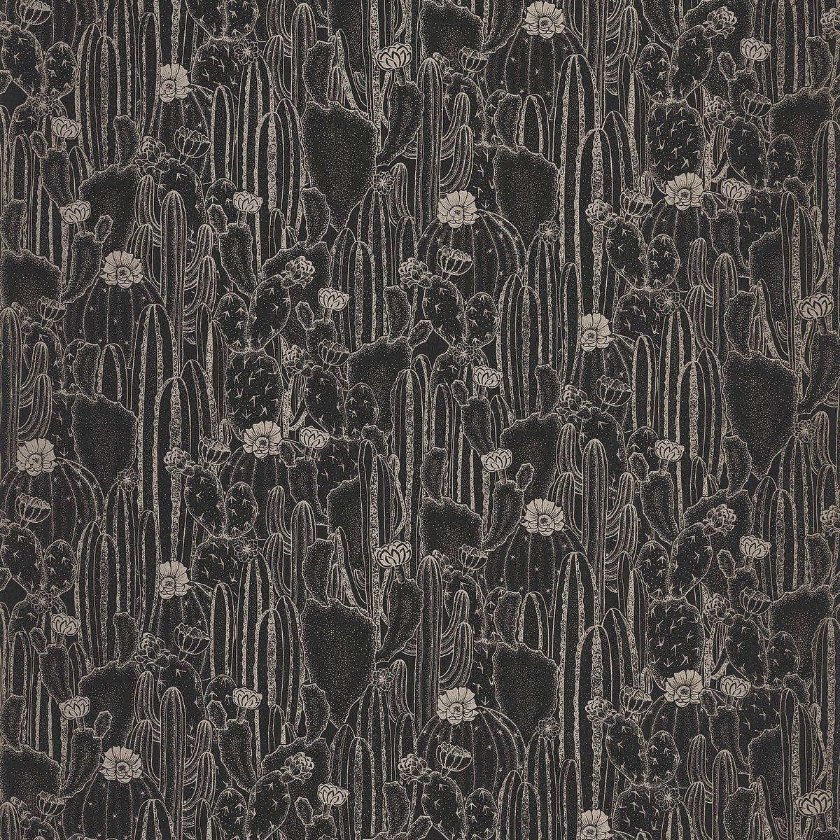 Tapet Botanica Cactaceae Noir Bota85929512