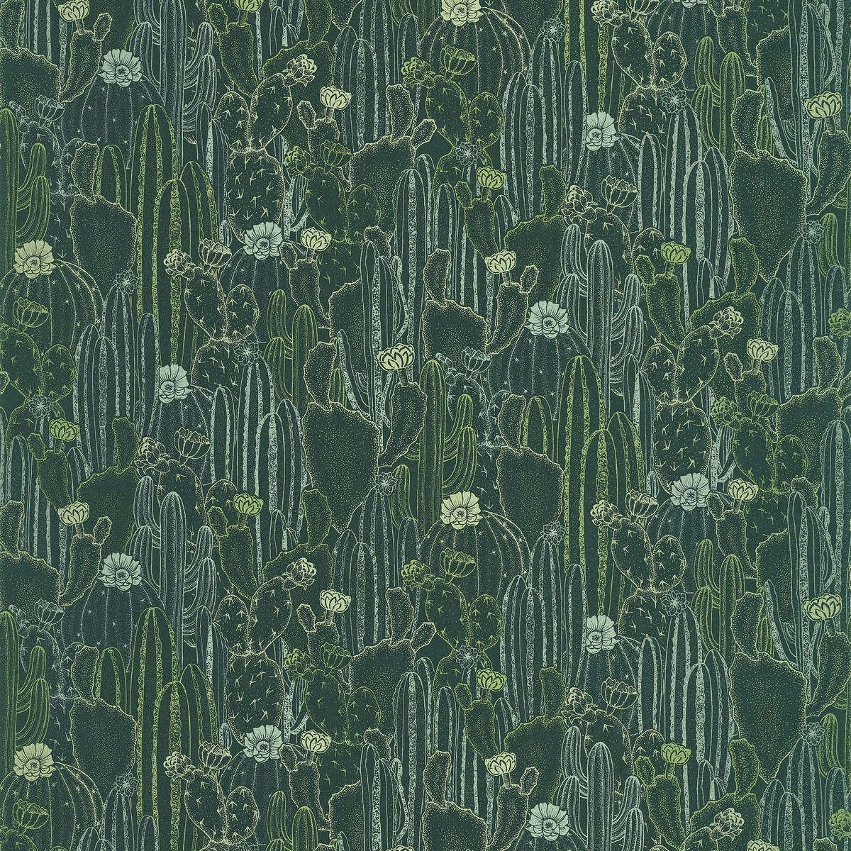 Tapet Botanica Cactaceae Vert Cactee Bota85927429