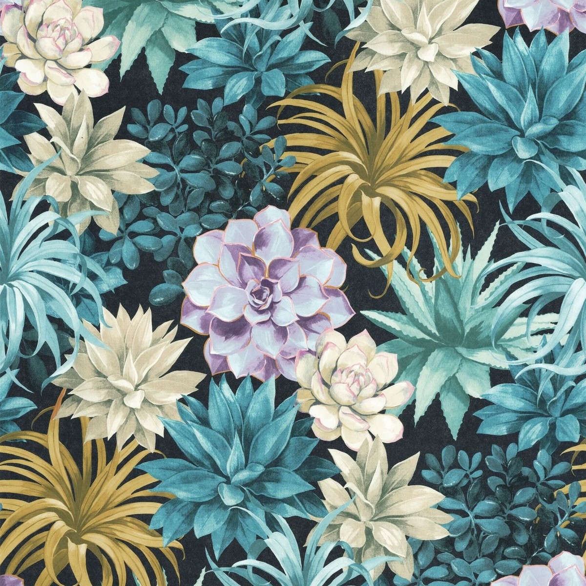 Tapet Botanica Echeveria Bleu Turquoise Bota85916585