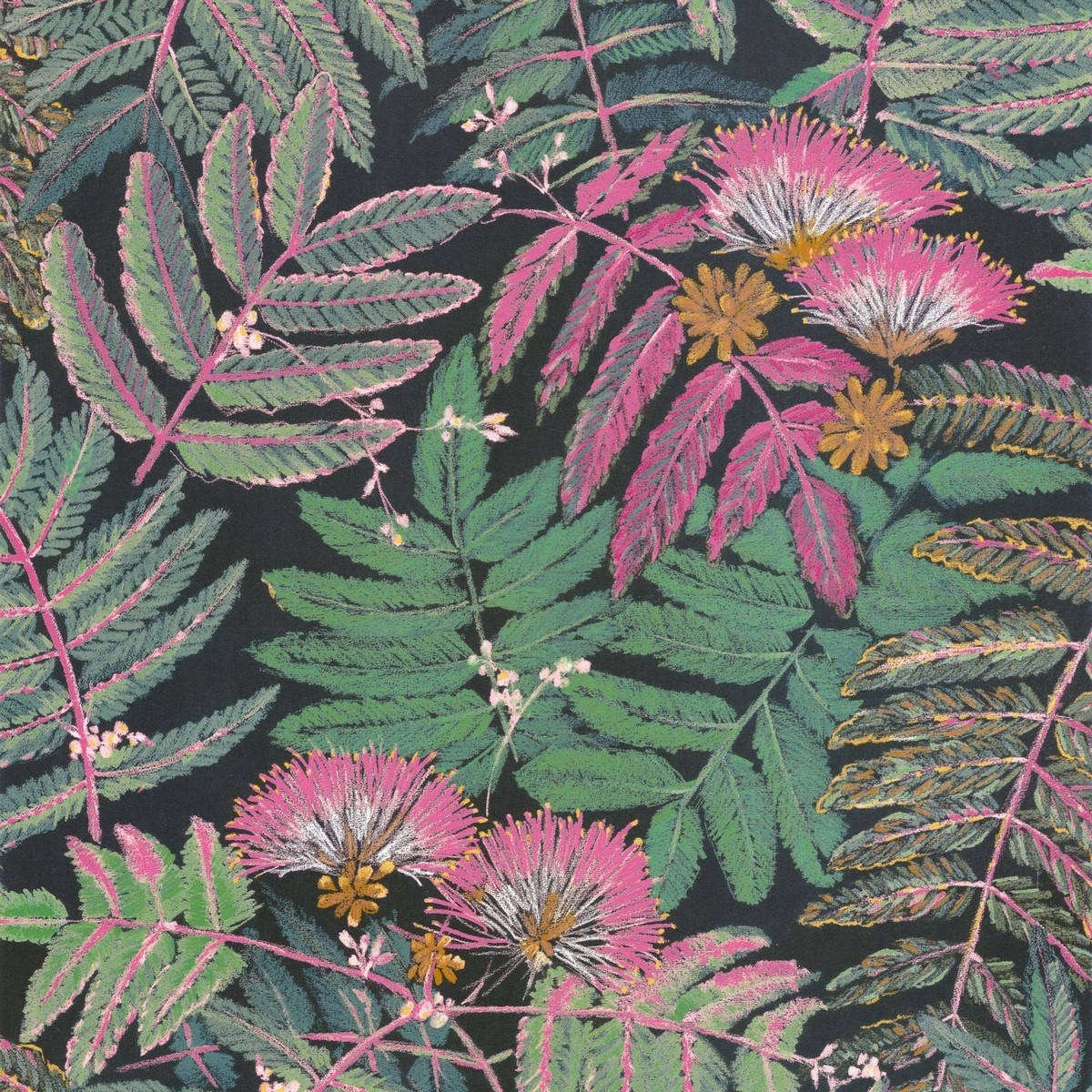 Tapet Botanica Albizia Rose/vert Foret Bota85897490