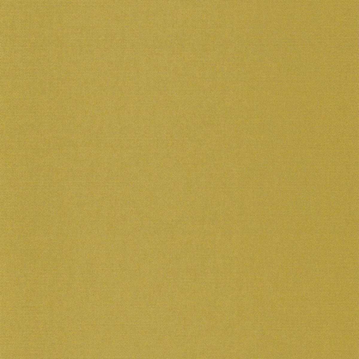 Tapet Botanica Uni Uni Anis Bota82072727