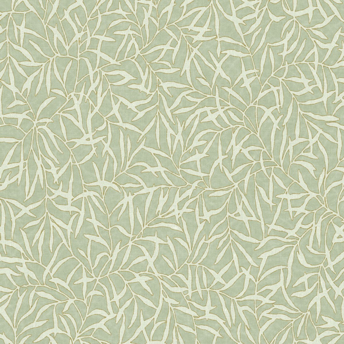 Tapet Bali Bambu Vert Sauge Bali88177301