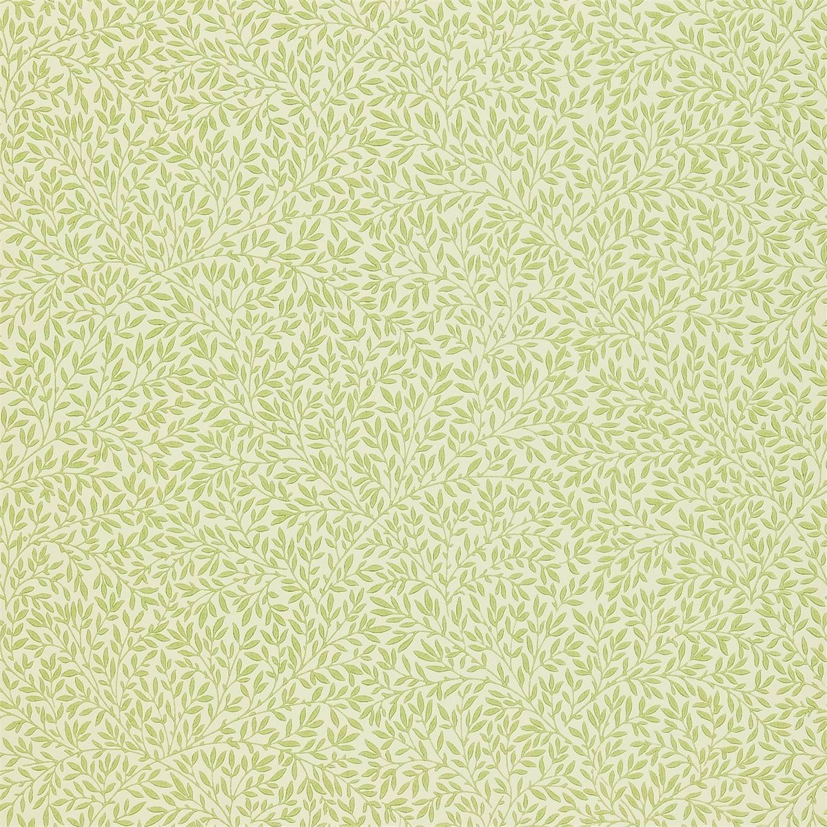 Tapet Compilation Standen Dcmw216833