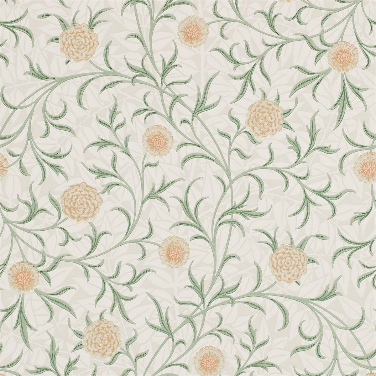 Tapet Compilation Scroll Dcmw216831