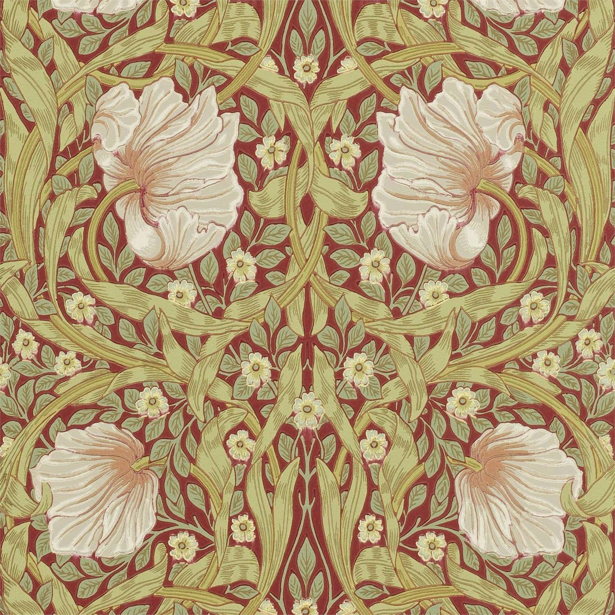 Tapet Compilation Pimpernel Dcmw216845