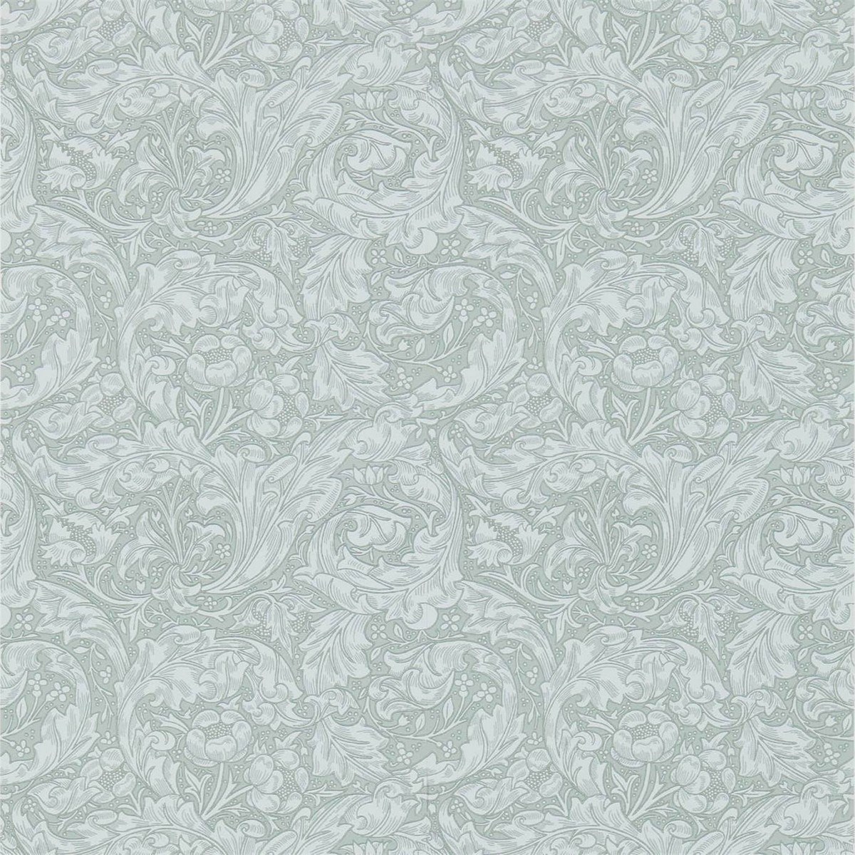 Tapet Compilation Bachelors Button Dcmw216824