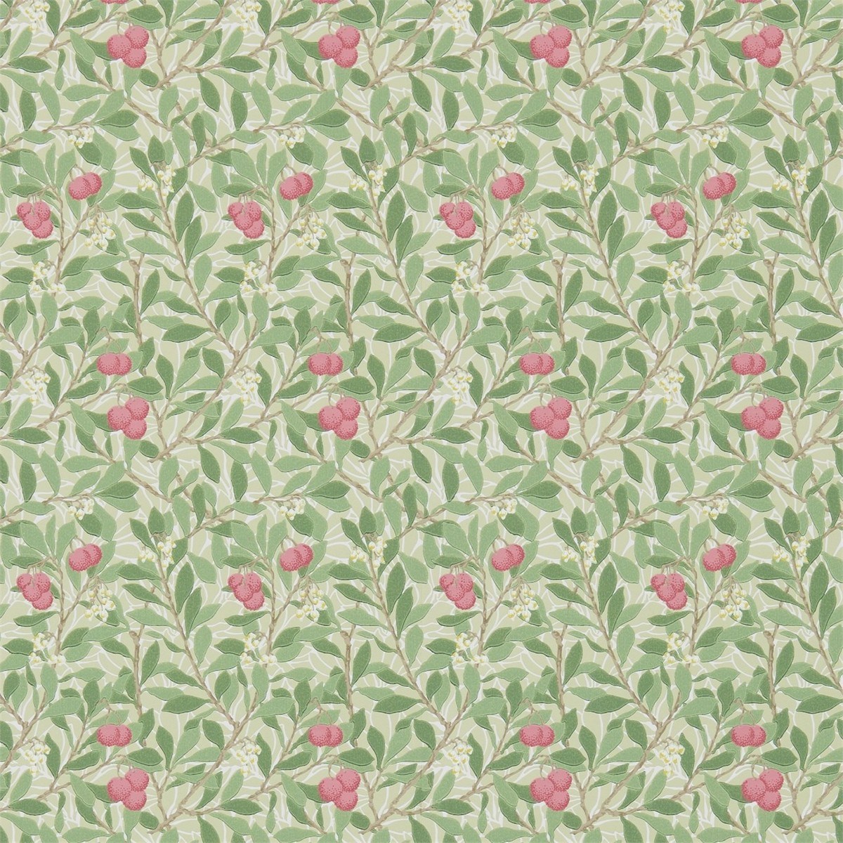 Tapet Archive III Arbutus Dm3w214720