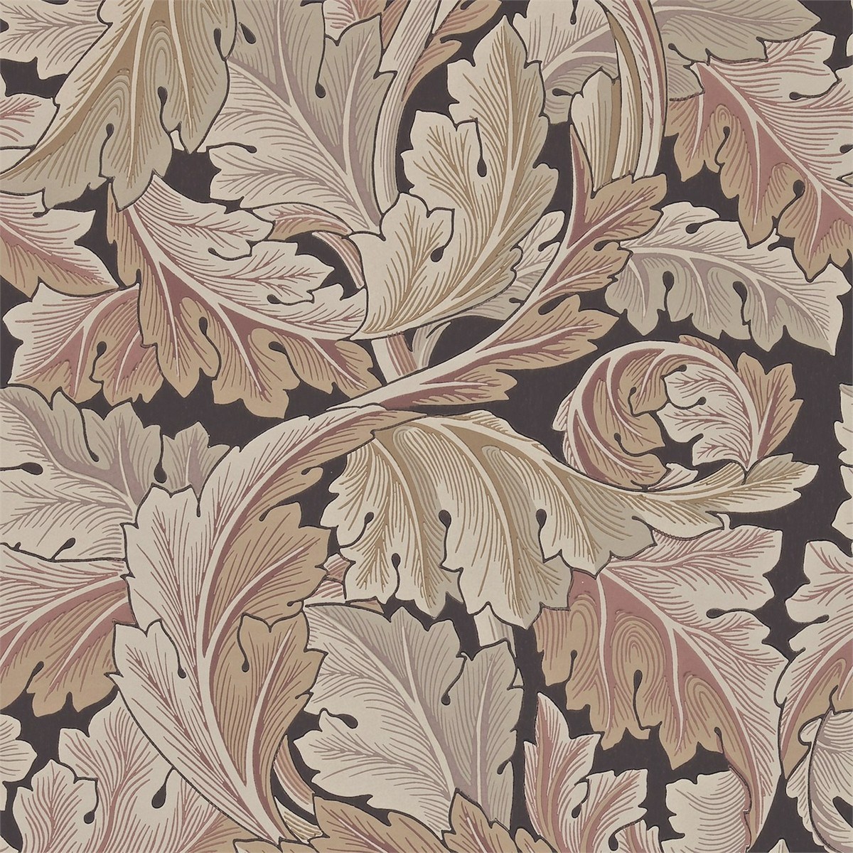 Tapet Archive II Acanthus Darw212551